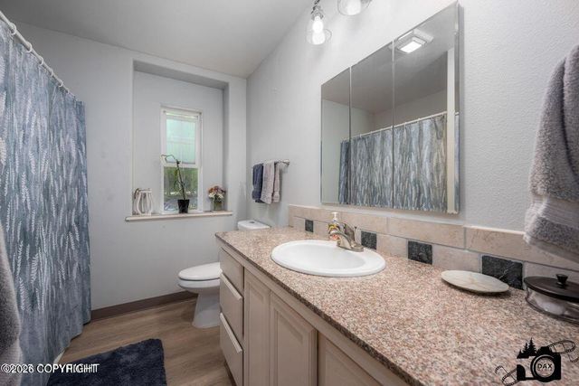 17201 W Lighthouse Drive, Big Lake, AK 99652