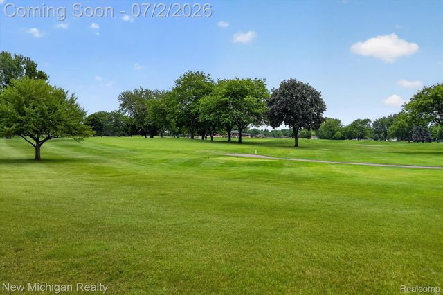 1325 Birdie Court, Linden, MI 48451