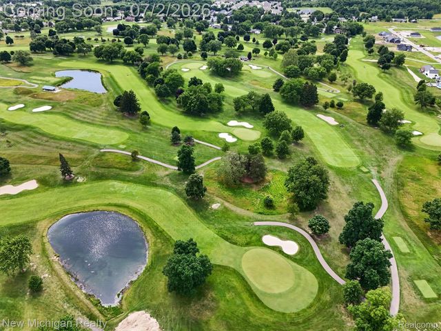 1325 Birdie Court, Linden, MI 48451