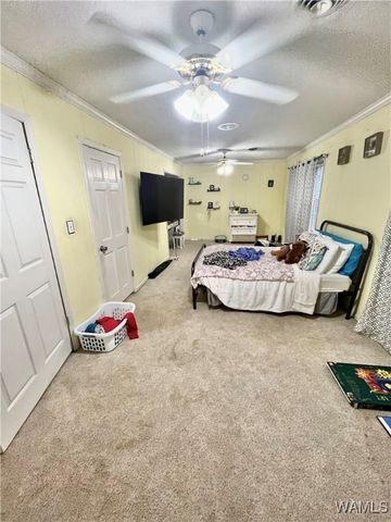 688 County Road 67, Moundville, AL 35474