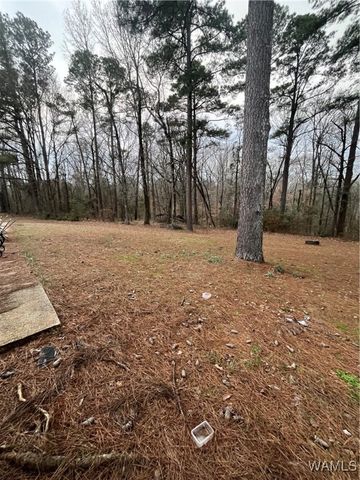 688 County Road 67, Moundville, AL 35474