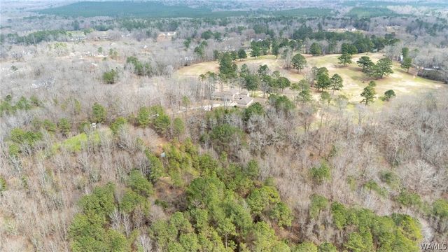 395 Tanglewood Circle, Reform, AL 35481