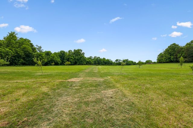0 Earl Steel Rd E, Brush Creek, TN 38547