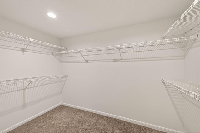 16 Town Oaks Place, Bellaire, TX 77401