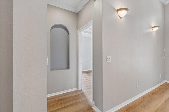 3102 WHITE PHEASANT PLACE, Valrico, FL 33596