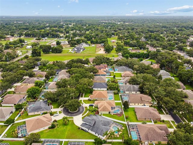 3102 WHITE PHEASANT PLACE, Valrico, FL 33596
