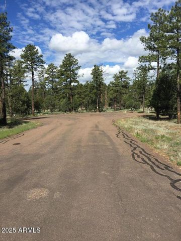 5452 RED SQUIRREL Lane 29, Lakeside, AZ 85929