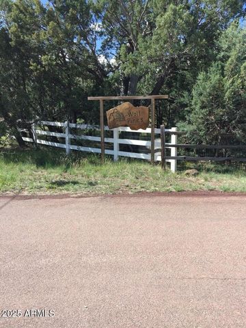 5452 RED SQUIRREL Lane 29, Lakeside, AZ 85929