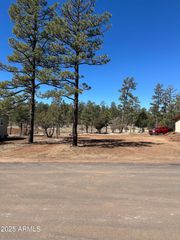 5452 RED SQUIRREL Lane 29, Lakeside, AZ 85929