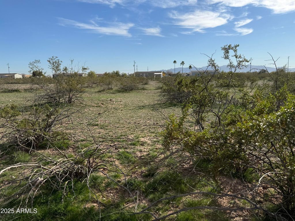 04 N 223rd Avenue -, Wittmann, AZ 85361 — photo 3