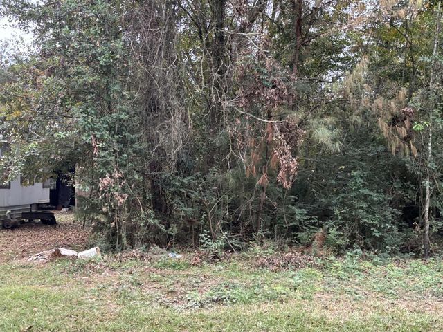 929 Mudd Street, Coldspring, TX 77331