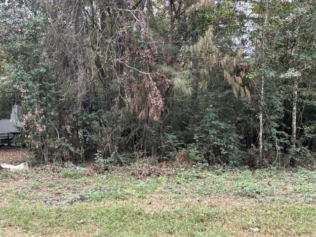 929 Mudd Street, Coldspring, TX 77331