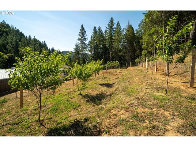 3902 S MYRTLE Rd, Myrtle Creek, OR 97457