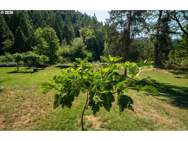 3902 S MYRTLE Rd, Myrtle Creek, OR 97457