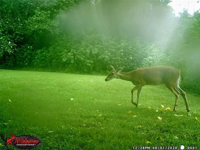 6911 Sprigg Street, Fulshear, TX 77441