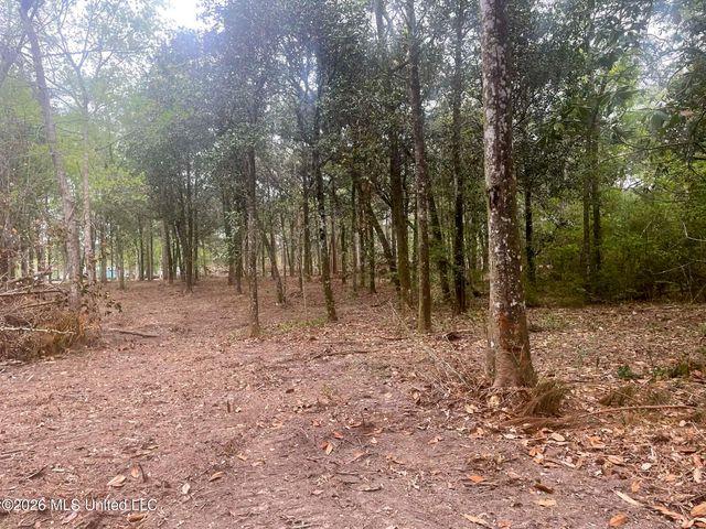 10 Ac Donniebrook Lane, Escatawpa, MS 39552
