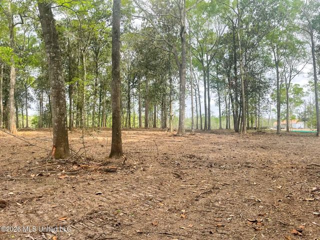 10 Ac Donniebrook Lane, Escatawpa, MS 39552