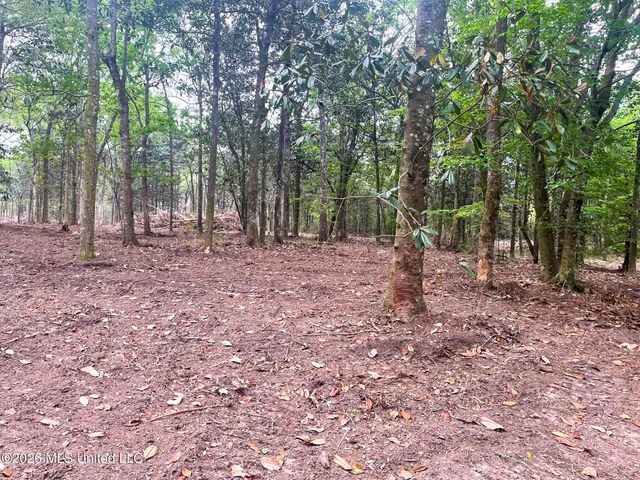 10 Ac Donniebrook Lane, Escatawpa, MS 39552