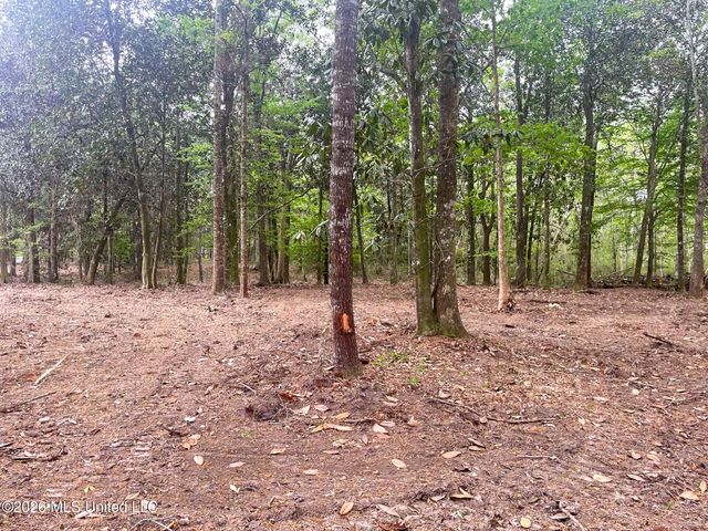 10 Ac Donniebrook Lane, Escatawpa, MS 39552