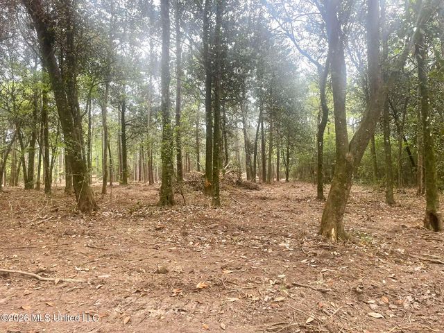 10 Ac Donniebrook Lane, Escatawpa, MS 39552