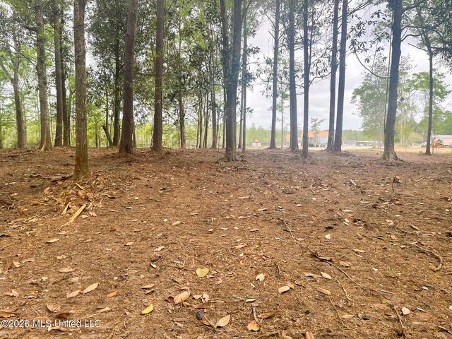 10 Ac Donniebrook Lane, Escatawpa, MS 39552