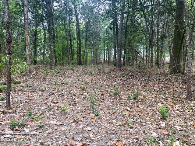10 Ac Donniebrook Lane, Escatawpa, MS 39552