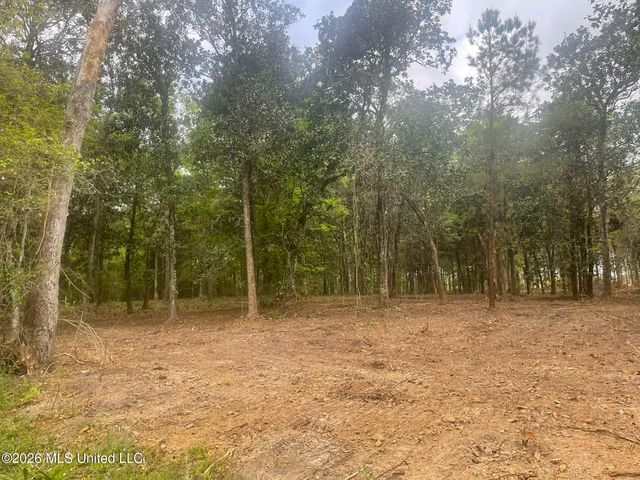 10 Ac Donniebrook Lane, Escatawpa, MS 39552