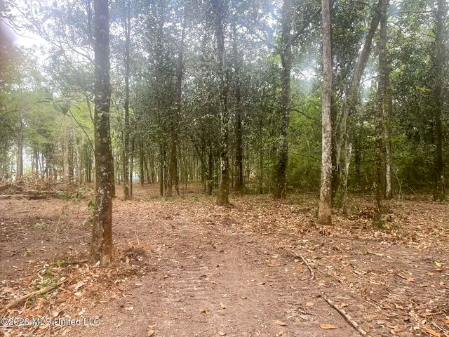 10 Ac Donniebrook Lane, Escatawpa, MS 39552