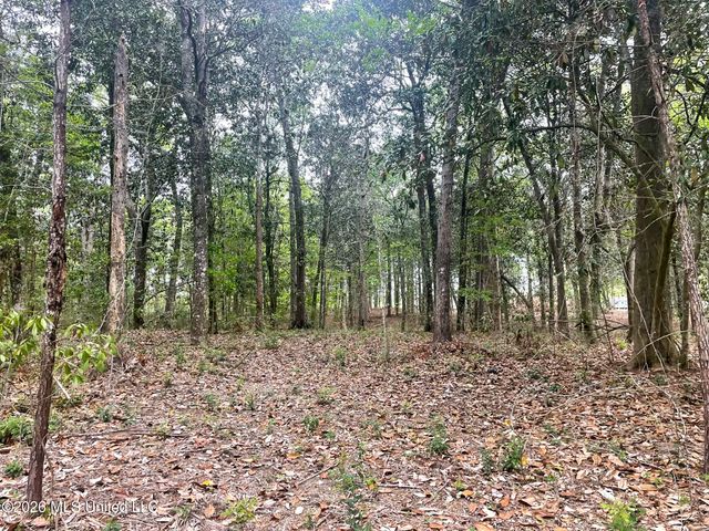 10 Ac Donniebrook Lane, Escatawpa, MS 39552
