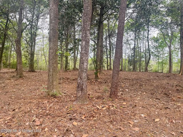 10 Ac Donniebrook Lane, Escatawpa, MS 39552
