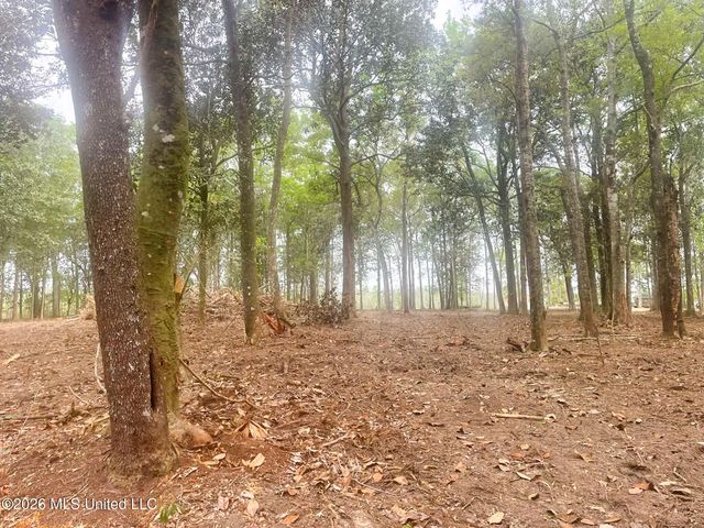 10 Ac Donniebrook Lane, Escatawpa, MS 39552