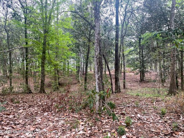 10 Ac Donniebrook Lane, Escatawpa, MS 39552