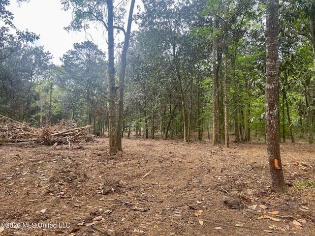 10 Ac Donniebrook Lane, Escatawpa, MS 39552
