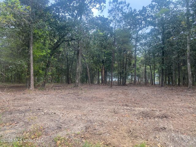 10 Ac Donniebrook Lane, Escatawpa, MS 39552
