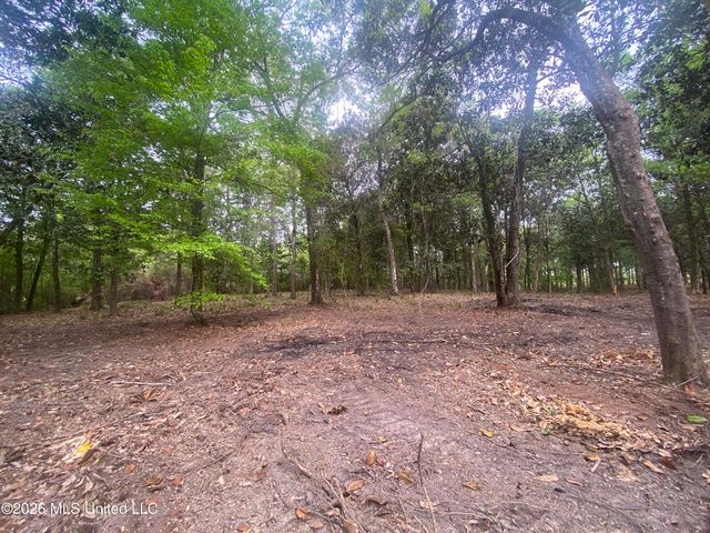 10 Ac Donniebrook Lane, Escatawpa, MS 39552