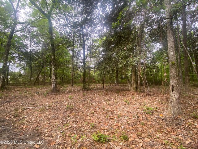 10 Ac Donniebrook Lane, Escatawpa, MS 39552