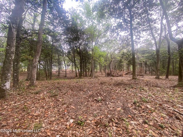 10 Ac Donniebrook Lane, Escatawpa, MS 39552