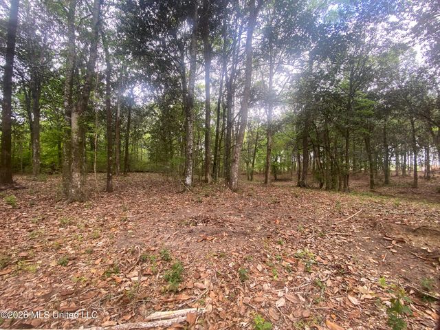 10 Ac Donniebrook Lane, Escatawpa, MS 39552