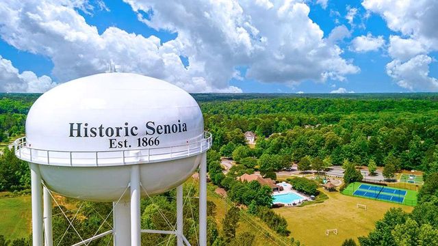 380 Staffin Drive, Senoia, GA 30276