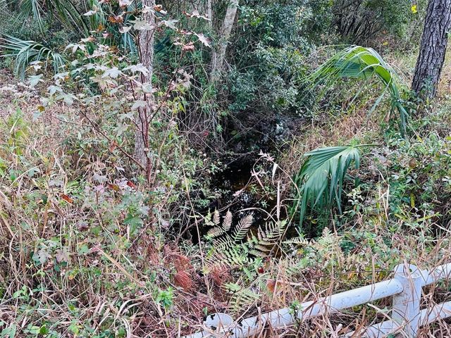 12468 SE HWY 349, Old Town, FL 32680