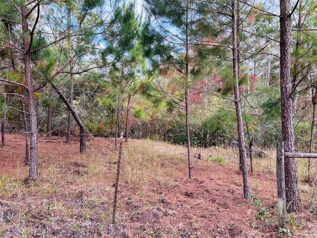 12468 SE HWY 349, Old Town, FL 32680