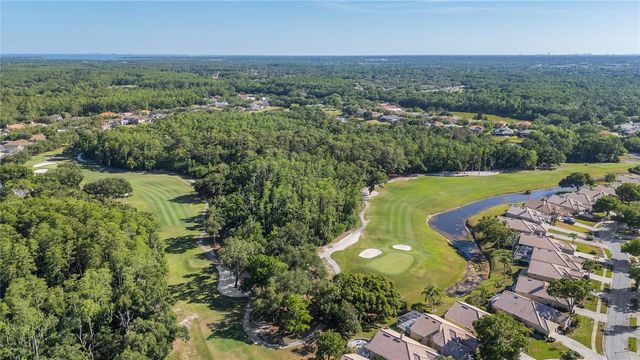 3446 TARPON WOODS BOULEVARD, Palm Harbor, FL 34685
