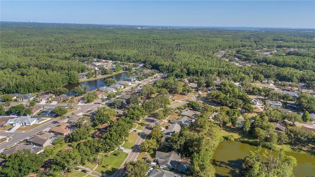 3446 TARPON WOODS BOULEVARD, Palm Harbor, FL 34685