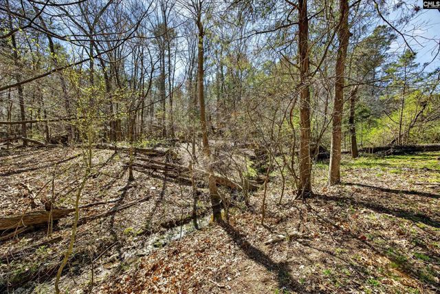 121 Black Creek Lane, Irmo, SC 29063