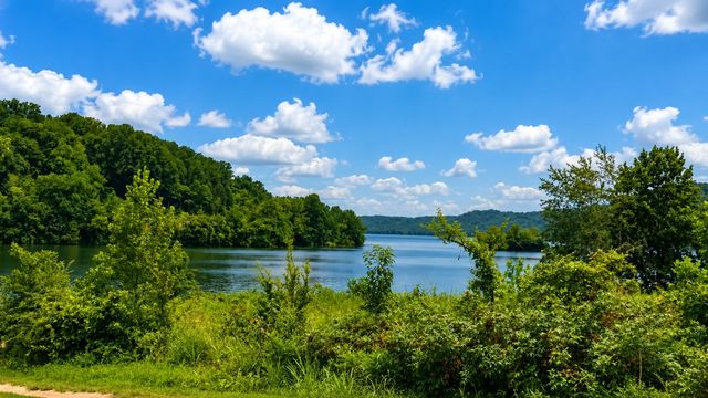 330 Fire Lake Dr, Manchester, TN 37355