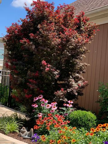 5602 Eventing Way, 18, Hilliard, OH 43026