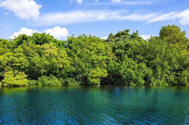 853 Harbour Isle Place, North Palm Beach, FL 33410