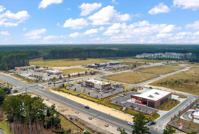 130 Basket Grass Lane, Summerville, SC 29486