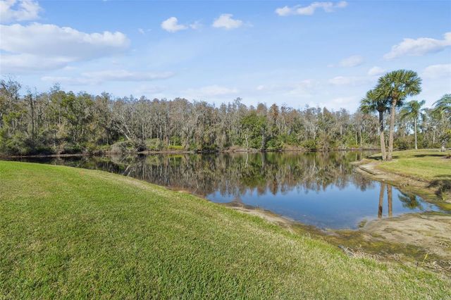 123 GLENDOWER CIRCLE, Sun City Center, FL 33573