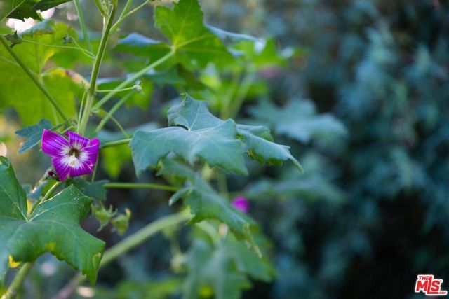 20307 Mobile Street, Winnetka (los Angeles), CA 91306